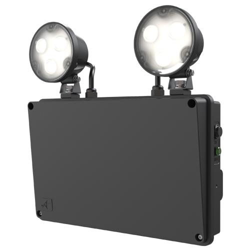 Ansell ARAP/1/B Raptor IP65 Twin Spot Black