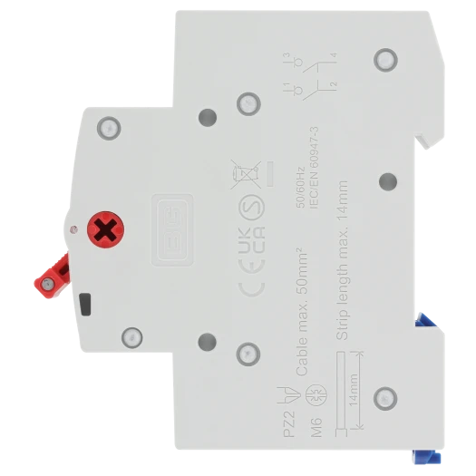 BG CUSW100 100A Bidirectional Double Pole Main Switch Isolator – 2 Module