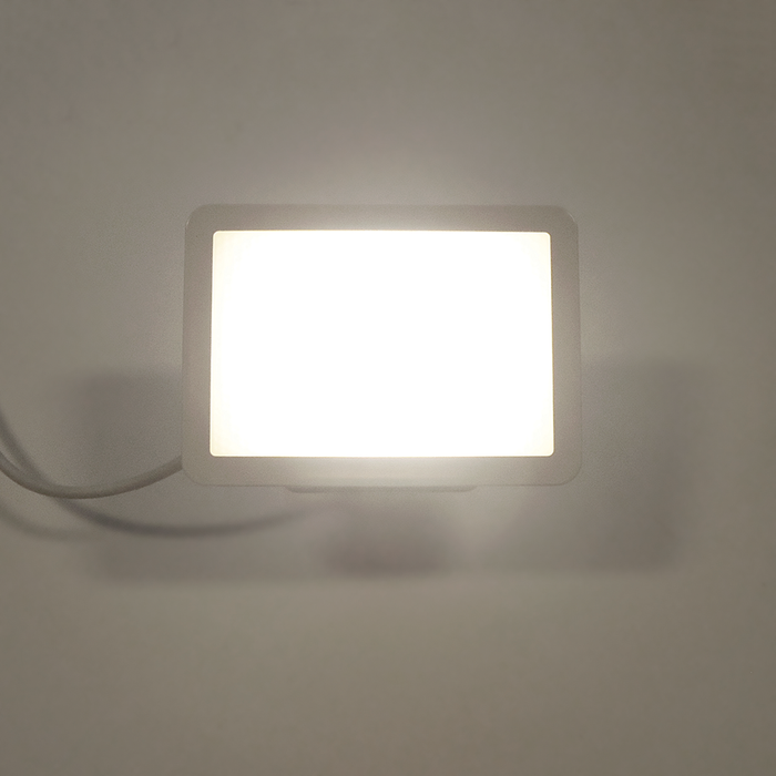 Eterna FLD30WH 30W LED floodlight