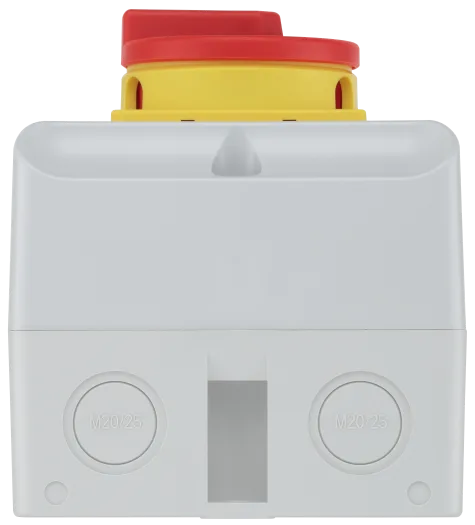 BG CPRSD263 63A 2-Pole IP65 Weatherproof Rotary Isolator Switch