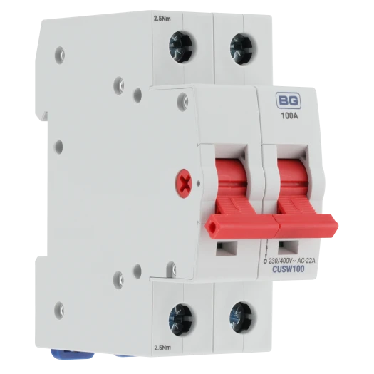 BG CUSW100 100A Bidirectional Double Pole Main Switch Isolator – 2 Module