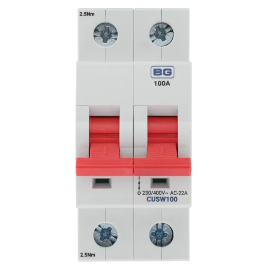 BG CUSW100 100A Bidirectional Double Pole Main Switch Isolator – 2 Module