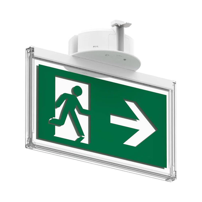 Collingwood EMBLRWDP Salvus 24m DALI-2 Maintained Emergency Exit Blade – White