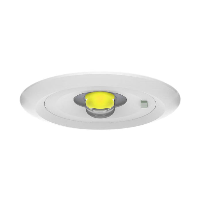 Collingwood EMRW3D Salvus Route 3W 300lm DALI-2 Recessed Emergency Downlight