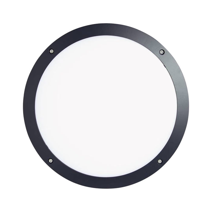 Collingwood WLHA1N Halo Bulkhead 12W CCT LED Bulkhead IP65