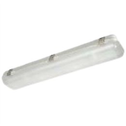Robus RVUF242FT-24 2FT 5000K VULCAN 2x12W LED Corrosion Proof