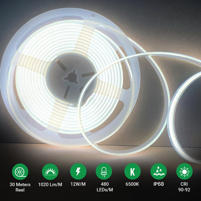 30m COB LED Strip Light 24V – 6000K Cool White, High-Density Continuous Light, IP65 Waterproof Flexible LED Tape