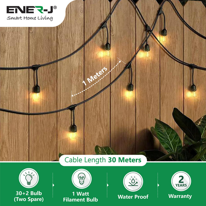 100 Feet LED Filament Bulb String Light Kit (inc 30x1W Filament LED Lamps)