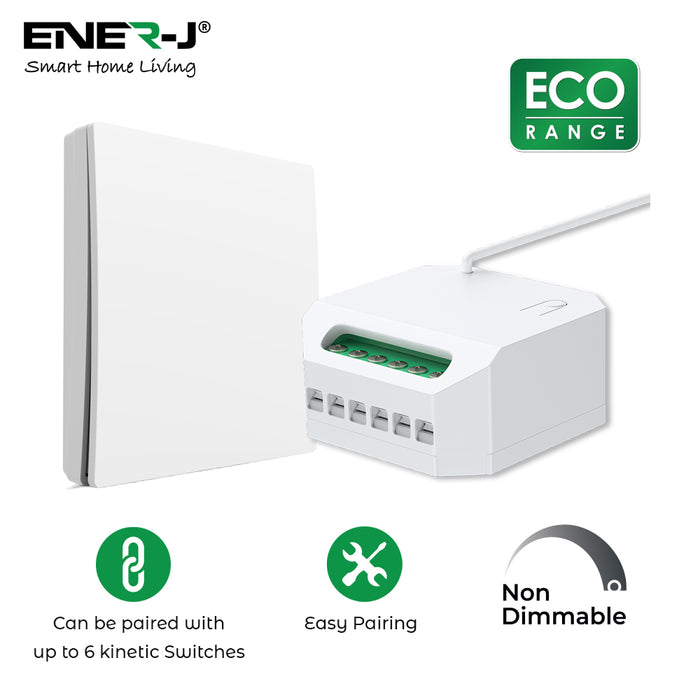 500W RF Non-Dimmable Magic Receiver Module, ECO Series