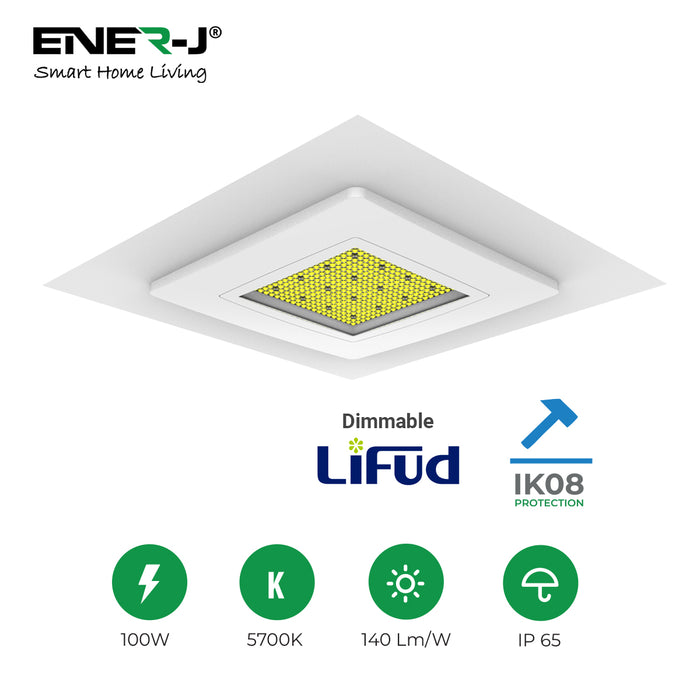 100W Premium Canopy Lights with 140 Lm/W, Lifud Driver, IP65 & IK08, 5700K, 5 Years Warranty