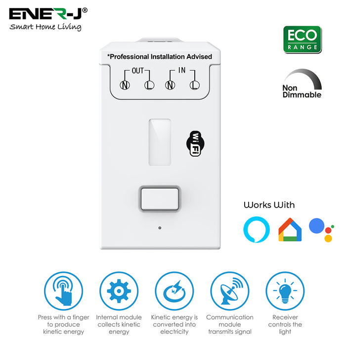 500W RF+WiFi Non-Dimmable Receiver Module, ECO Series