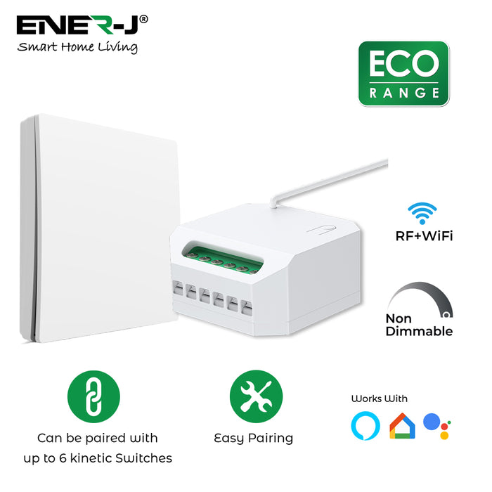 500W RF+WiFi Non-Dimmable Magic Receiver Module, ECO Series Wireless Switches