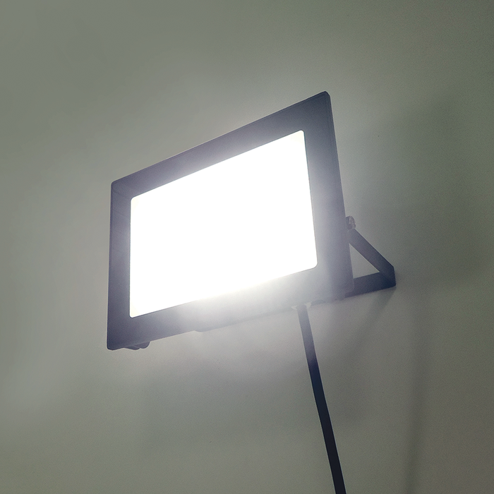 Eterna VECOFLD50 50W IP65 economy LED floodlight