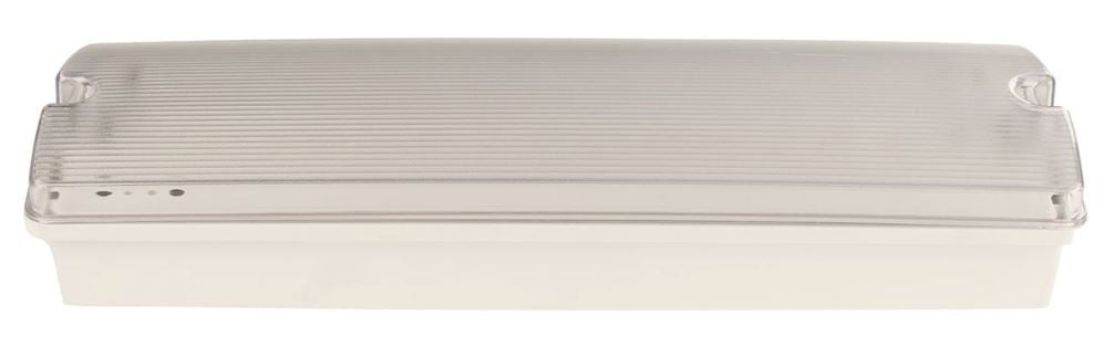 Z10 BHA3-AST 3W Maintained / Non-maintained Granite Emergency LED Bulkhead